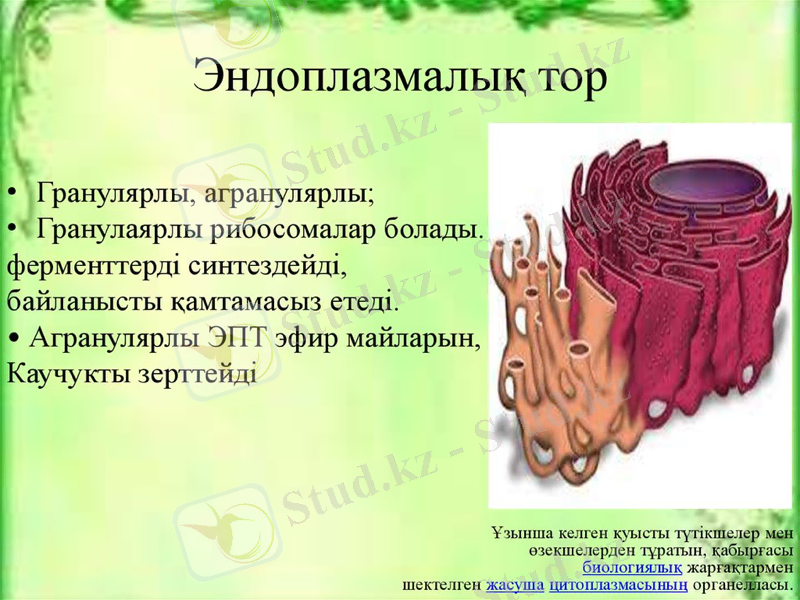 Slide 12