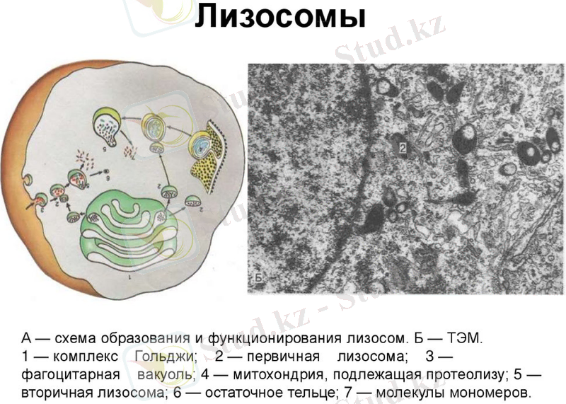 Slide 15