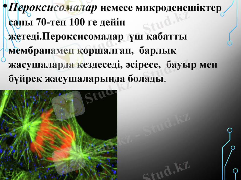 Slide 16