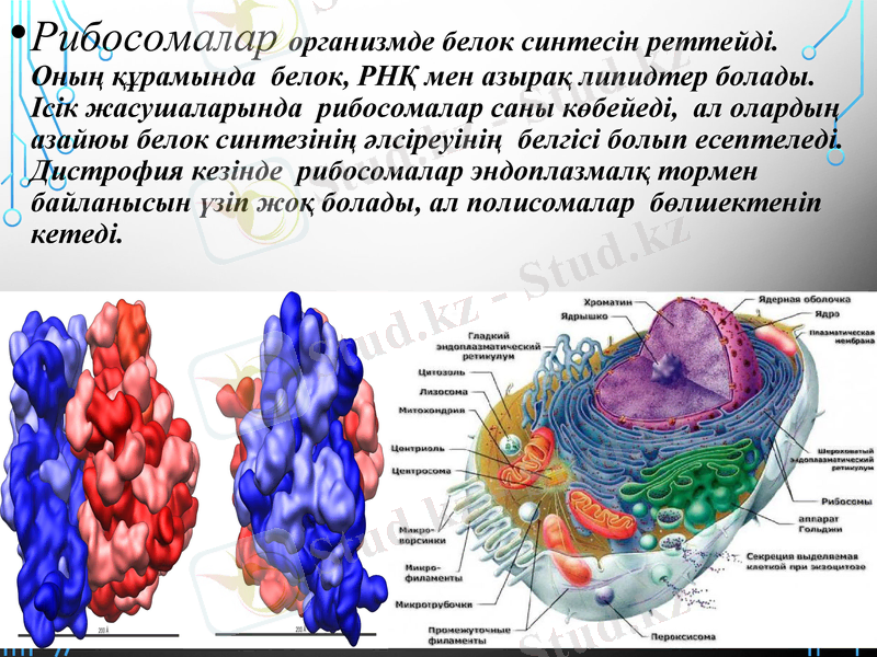 Slide 17