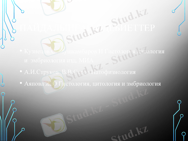Slide 19