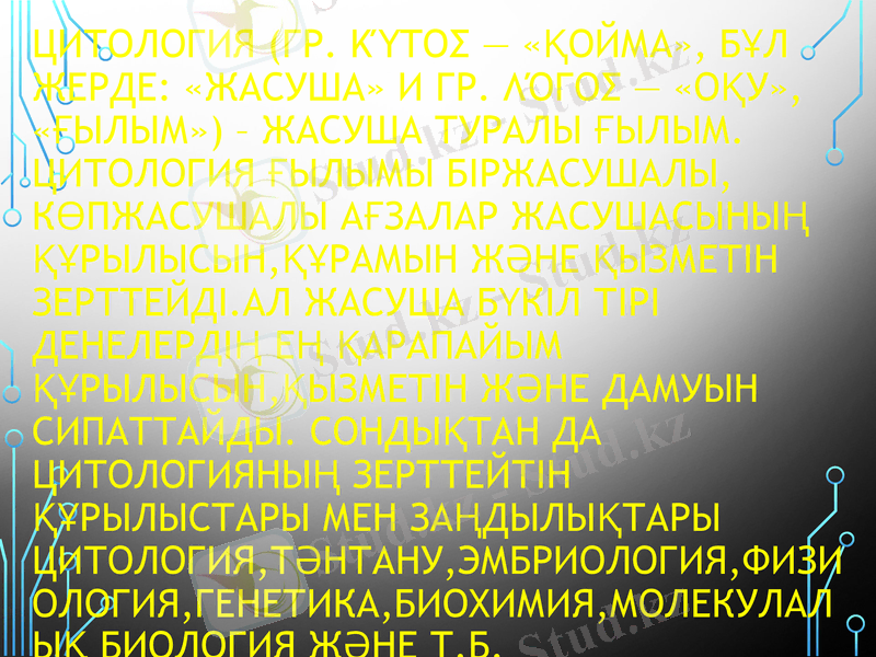 Slide 3