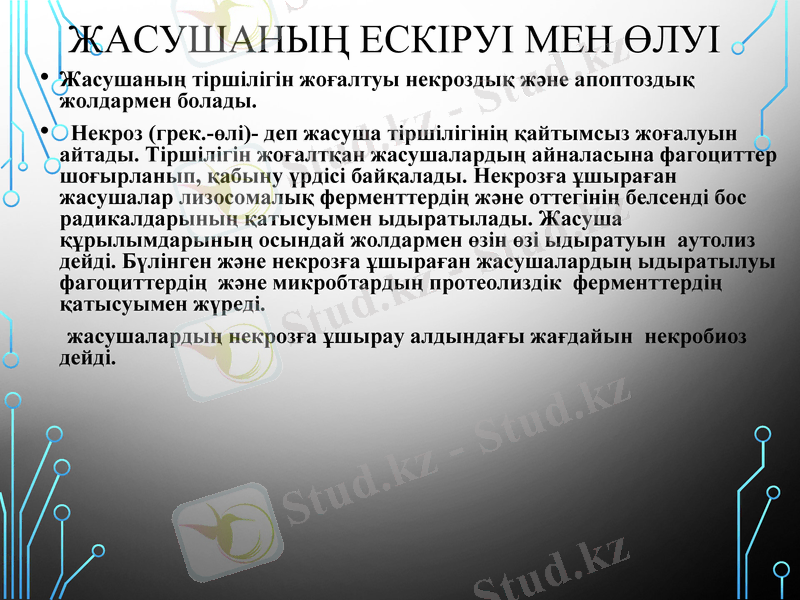 Slide 5