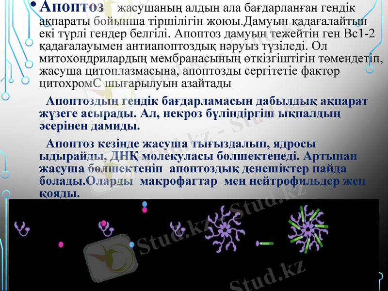 Slide 7