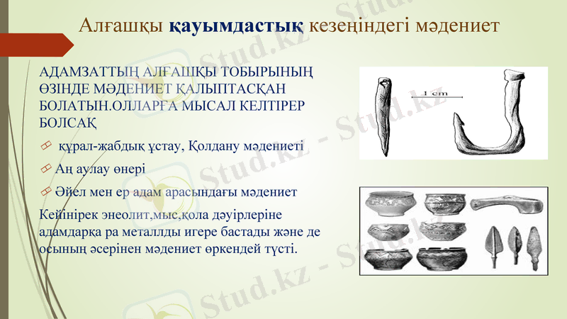Slide 9