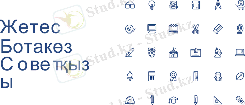 Slide 11