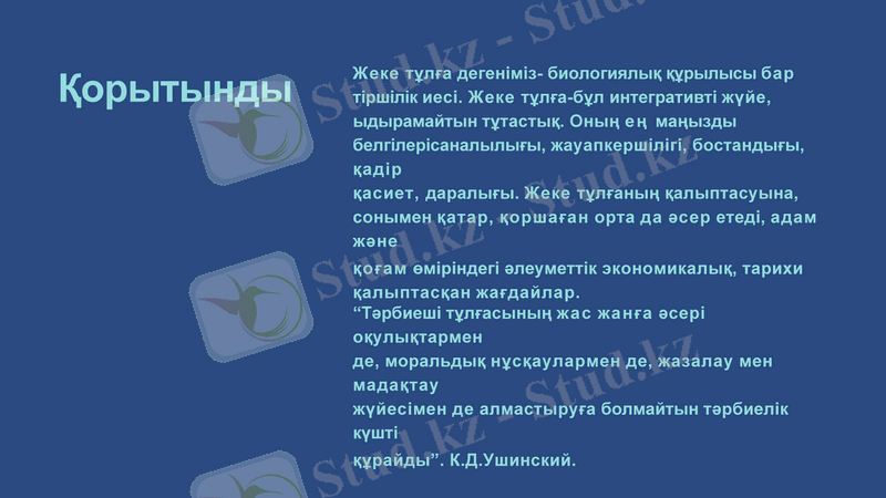 Slide 8