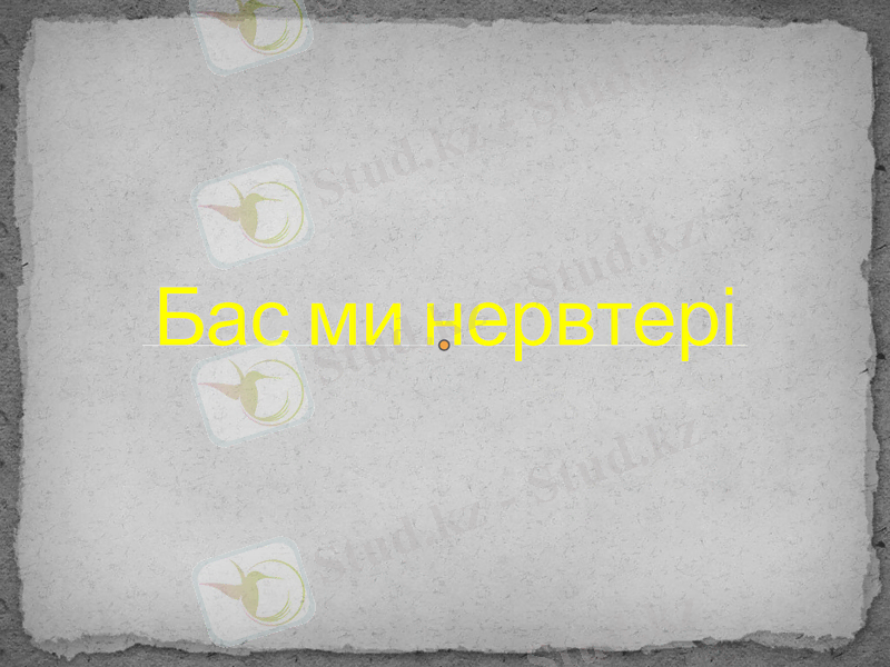Slide 1