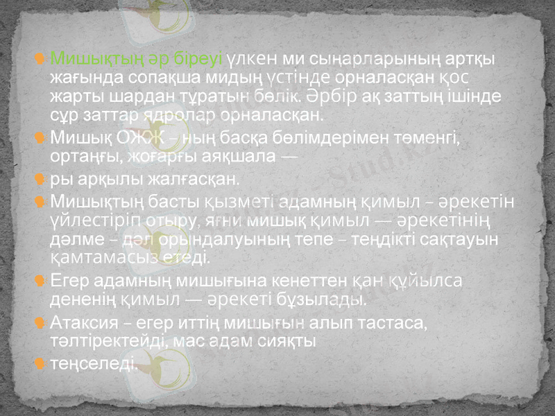 Slide 11