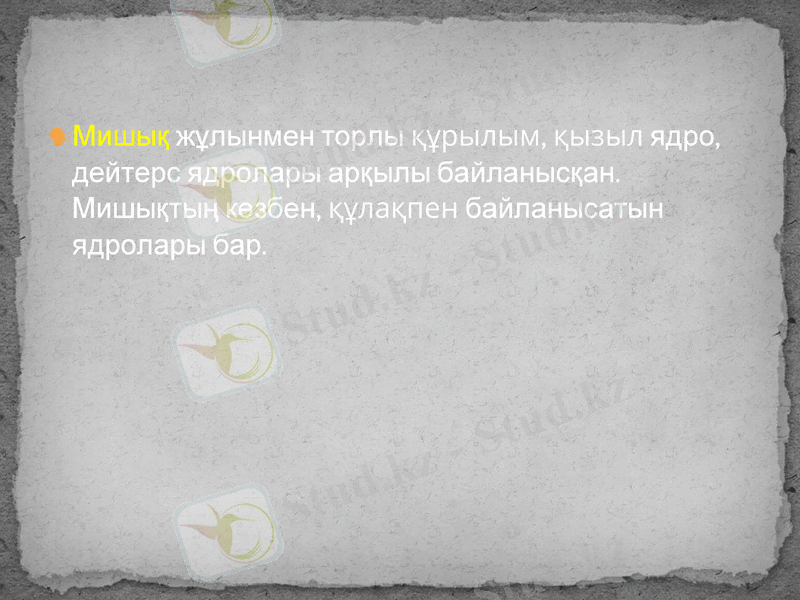 Slide 12