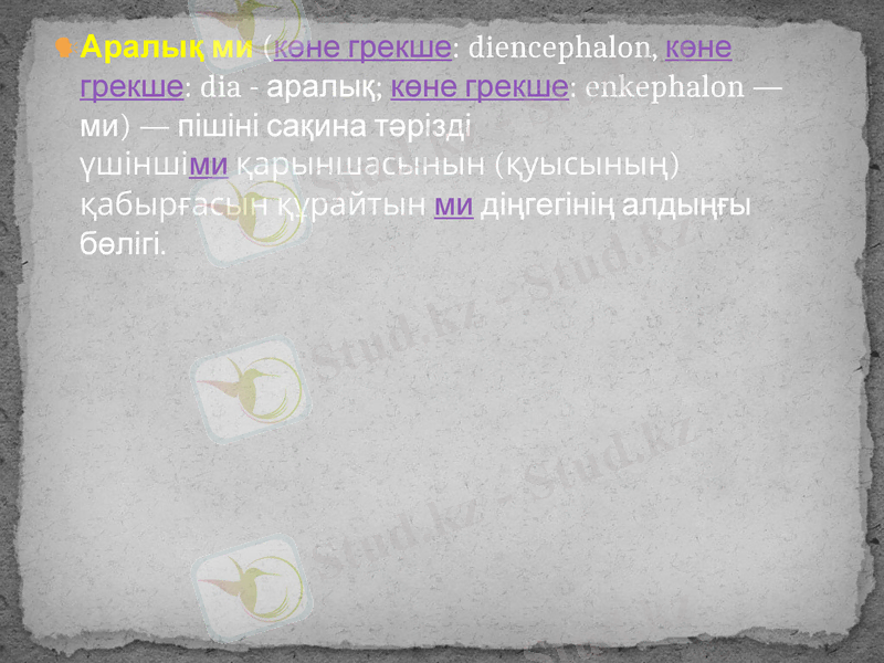 Slide 15