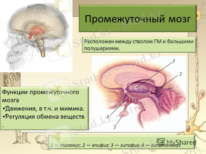 Slide 18