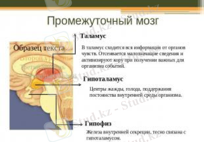Slide 19