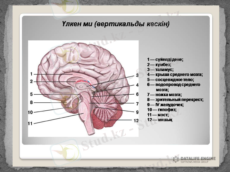 Slide 2