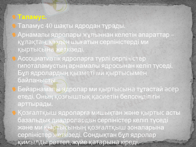 Slide 20