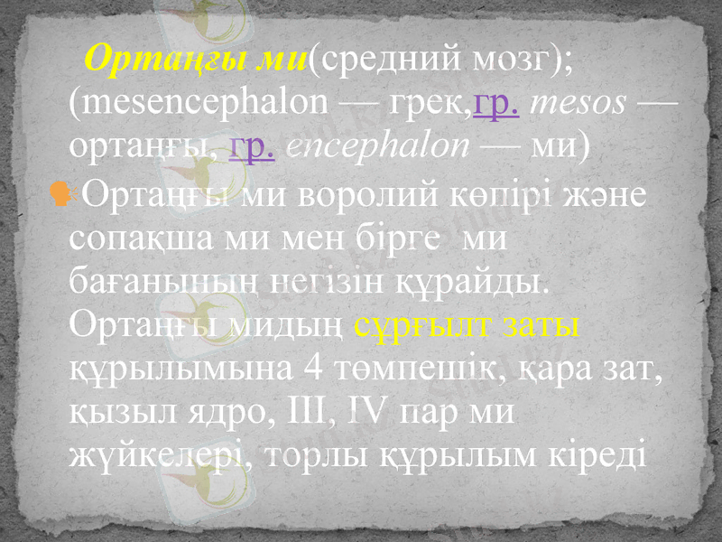 Slide 23