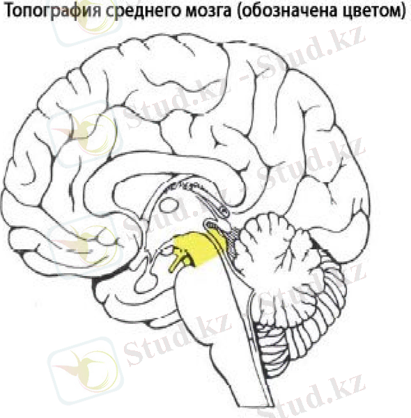 Slide 24