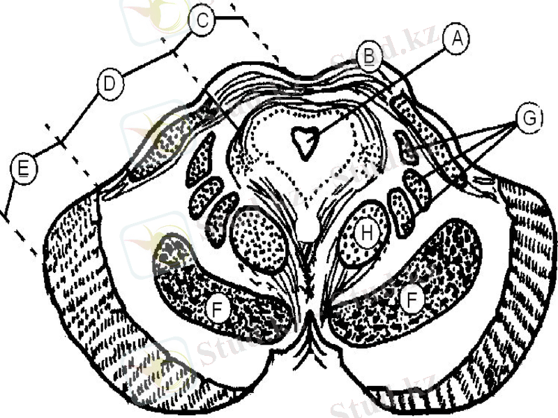 Slide 25