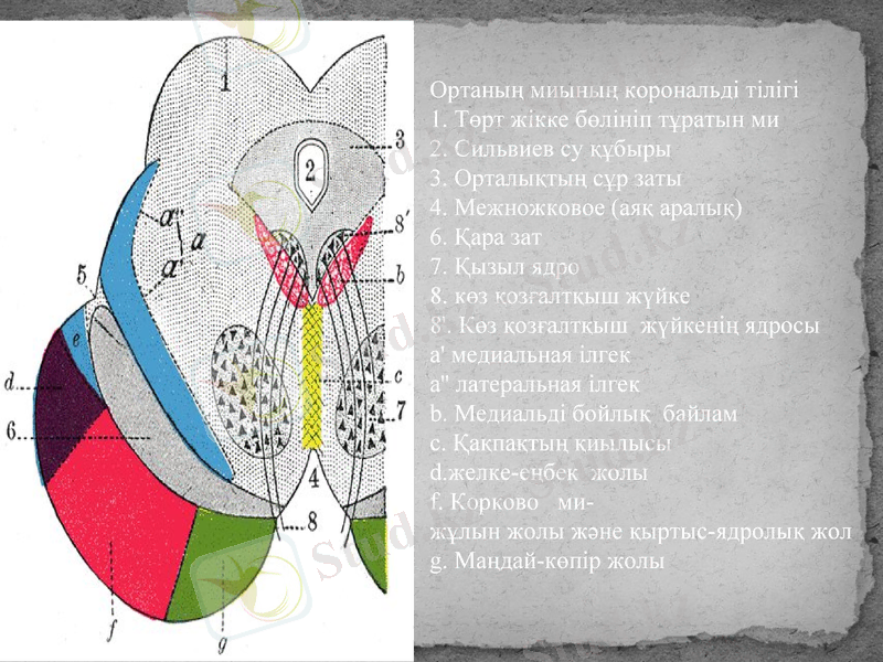 Slide 26