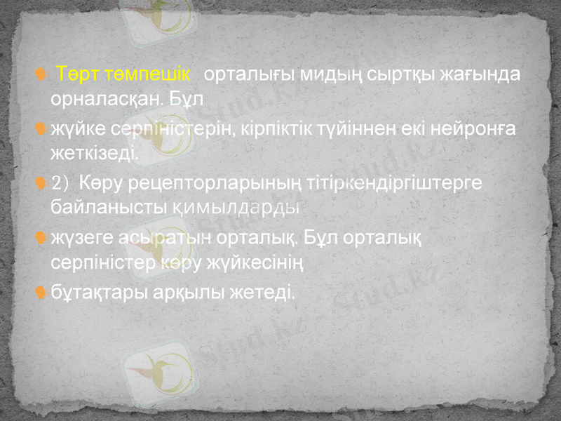 Slide 28