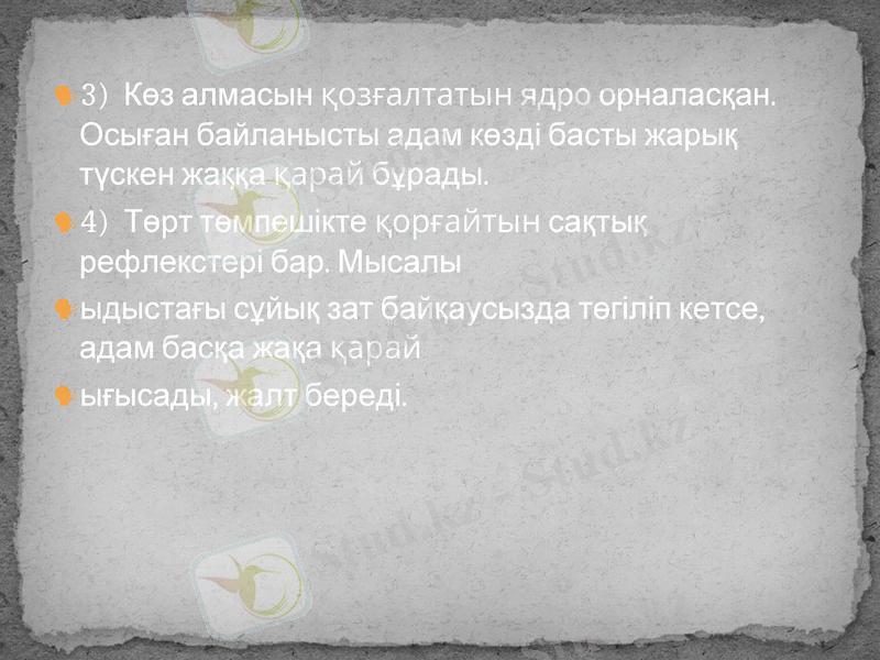 Slide 29