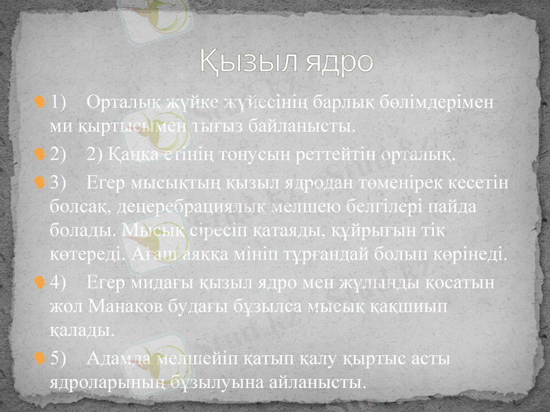 Slide 30