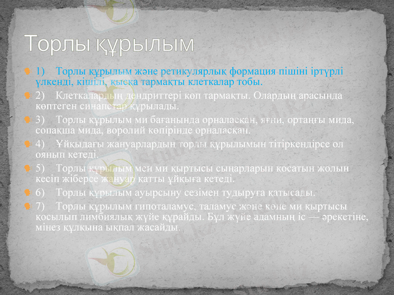 Slide 33