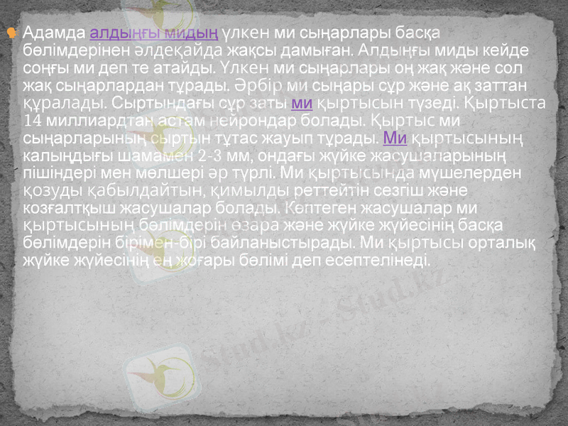 Slide 34