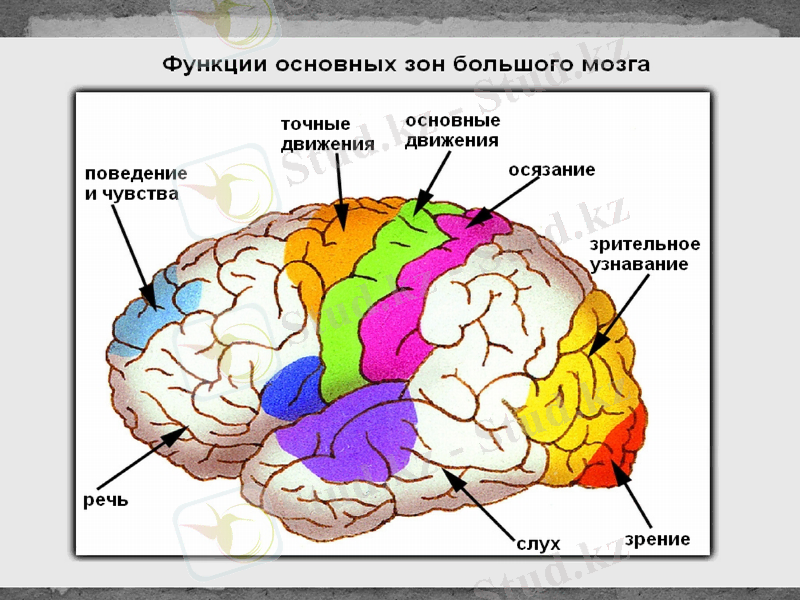 Slide 35