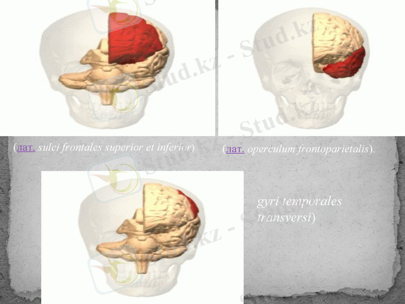 Slide 36