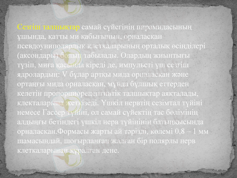 Slide 38