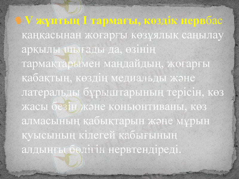 Slide 39