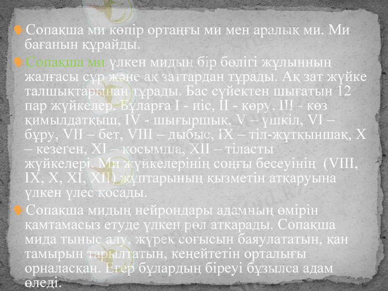 Slide 5