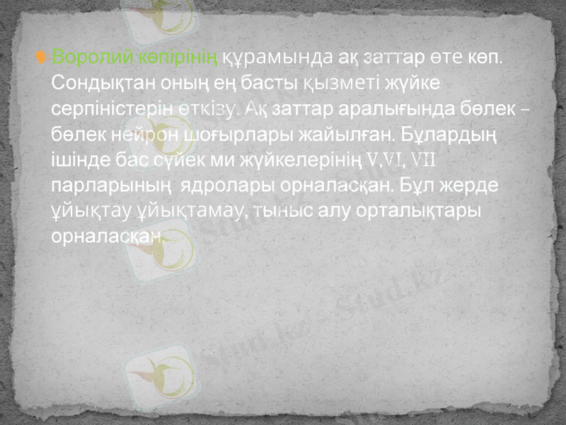 Slide 8