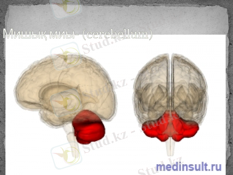 Slide 9