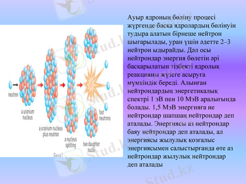Slide 8