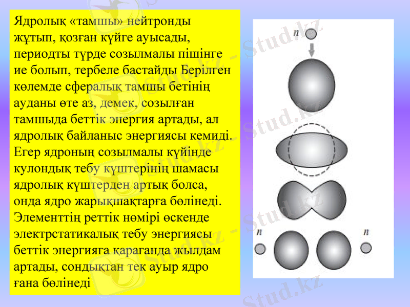 Slide 9