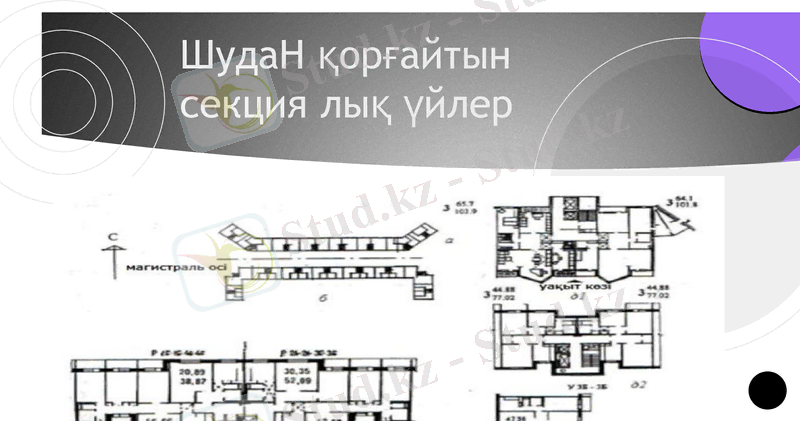 Slide 10