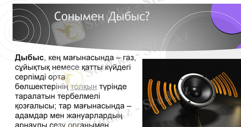Slide 13