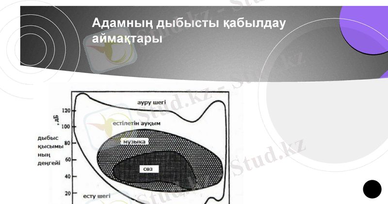 Slide 15
