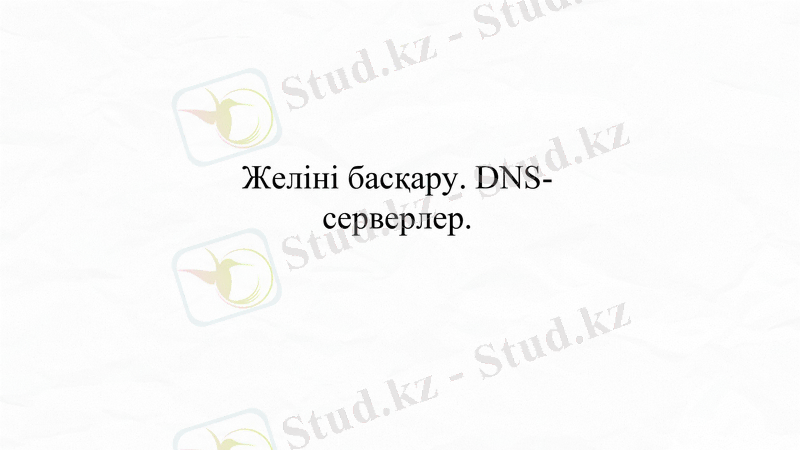 Slide 10