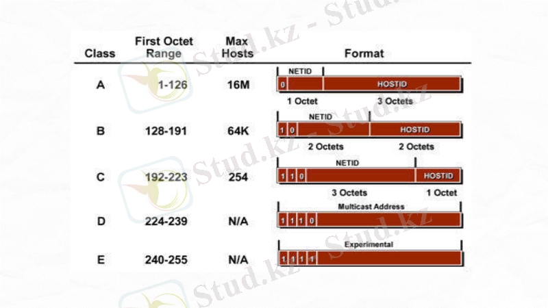 Slide 6