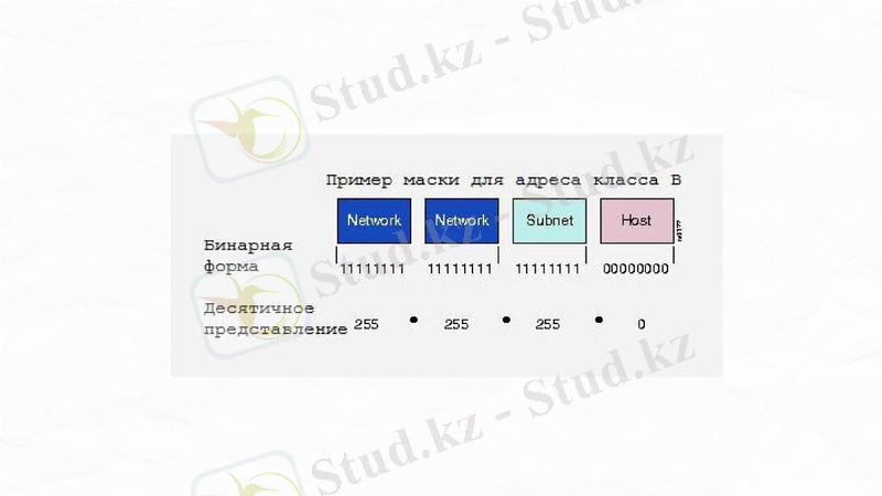 Slide 9