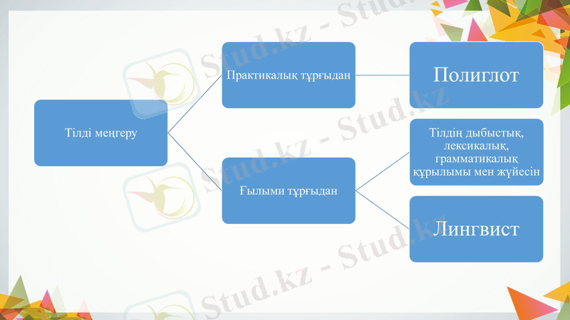 Slide 11