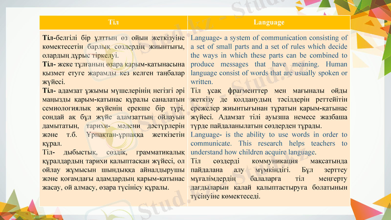 Slide 5