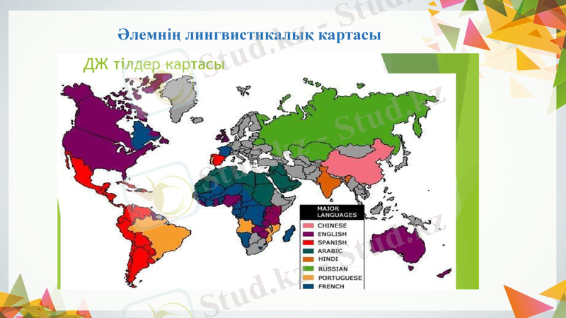Slide 6