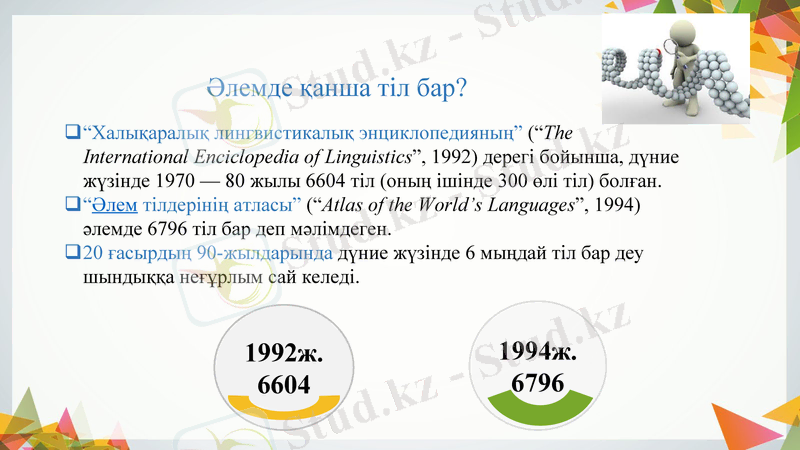 Slide 7