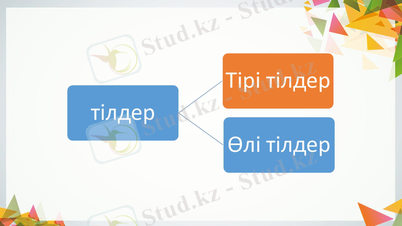 Slide 8