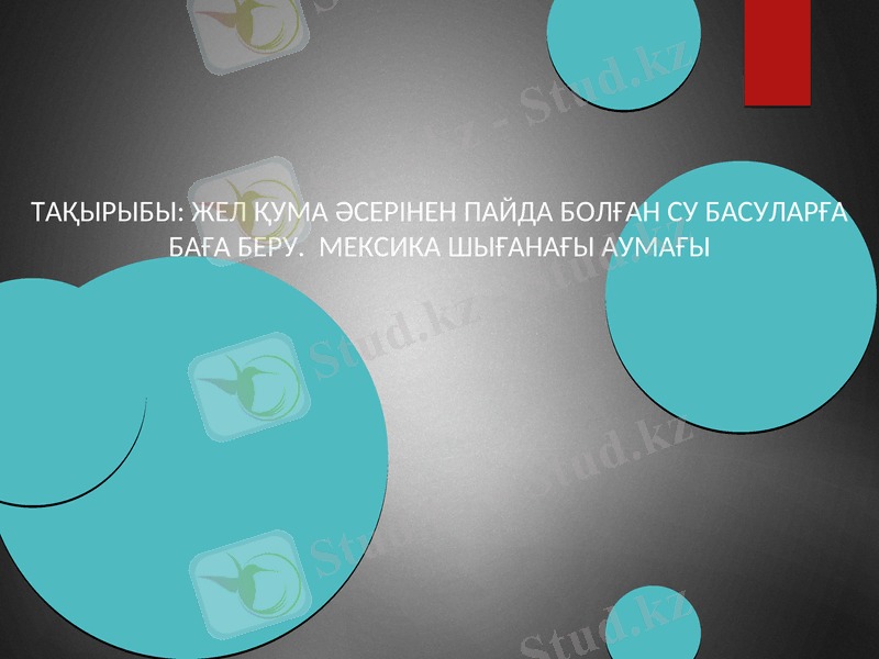 Slide 1