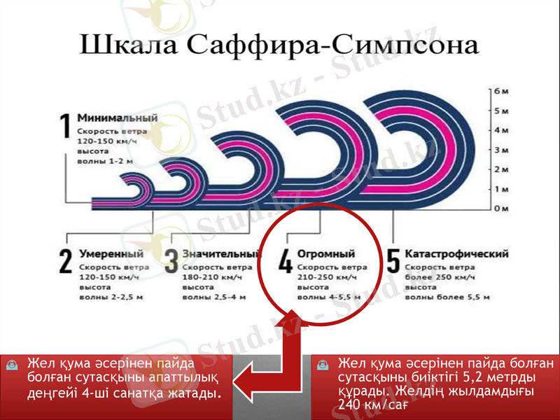 Slide 10